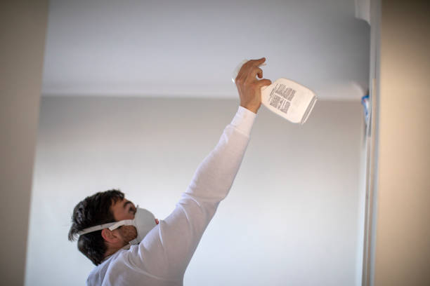 Best Best Mold Removal Companies  in Pomona, KS