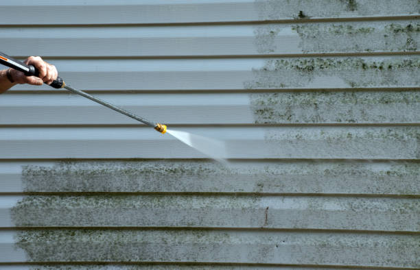 Best Mold Damage Repair  in Pomona, KS