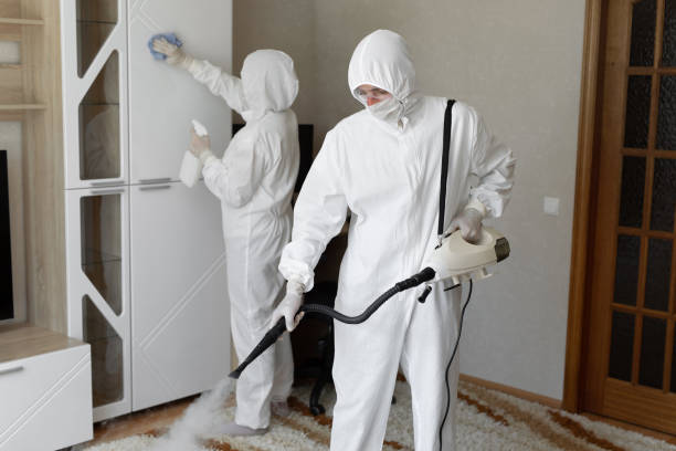 Certified Mold Removal in Pomona, KS