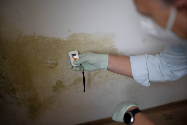 Crawl Space Mold Removal in Pomona, KS