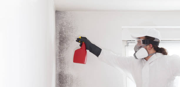 Best Emergency Mold Removal  in Pomona, KS