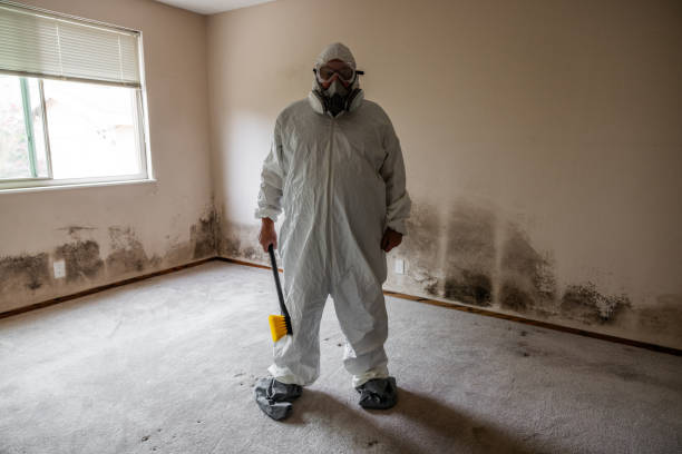 Best Mold Testing  in Pomona, KS