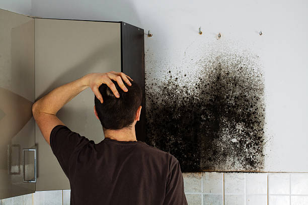Best Certified Mold Removal  in Pomona, KS